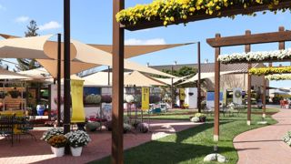 Suite à l’annulation des Spring Trials et Flower Trials, Ball Horticultural et sa filiale PanAmerican Seed s’adaptent pour présenter leurs nouveautés 2021 et leur offre commerciale via une appli, des vidéos et des webinaires. ©Ball Horticultural